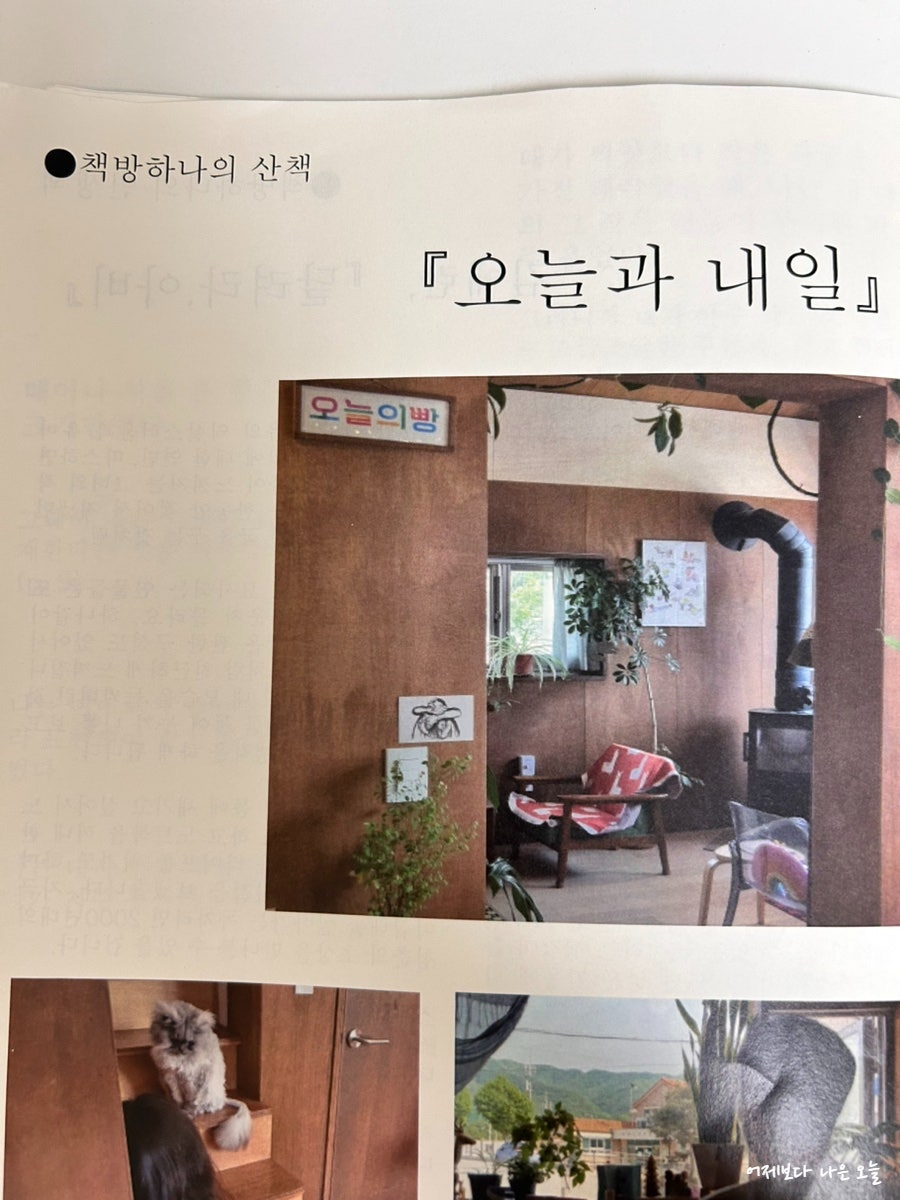 오늘과내일 사진 3