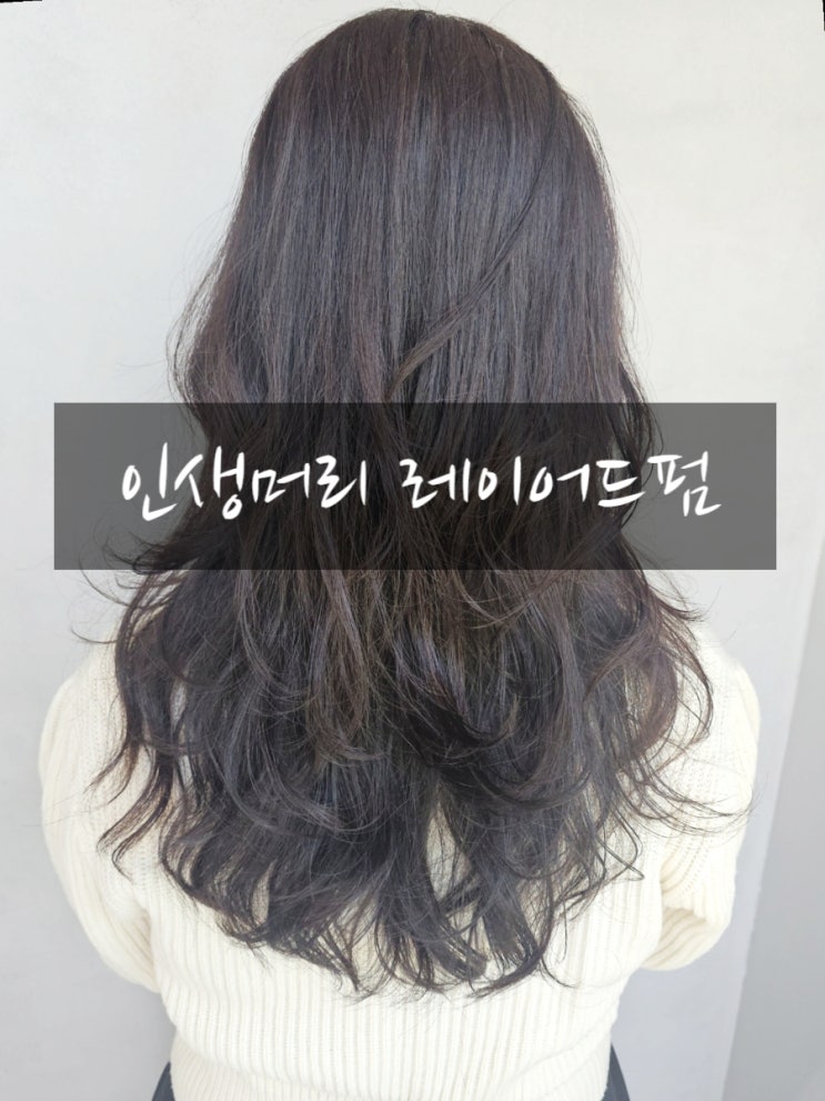  지축역 미용실 그레이큐브 인생머리 찾았다! 지축 레이어드펌 후기