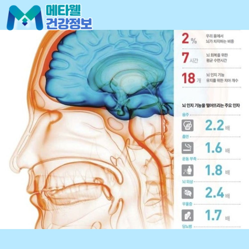 뇌전증 전조증상 이렇게 시작됩니다, 원인과 약물 치료 그리고 소아 뇌전증까지