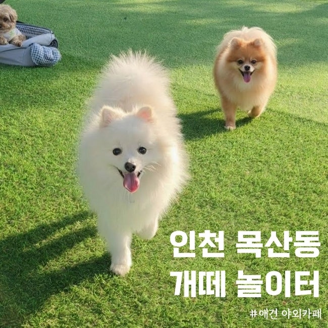 사진 4