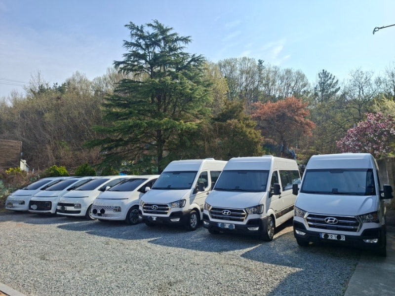 대구공항 렌트카 추천 쏠라티 스타리아 카니발 전문