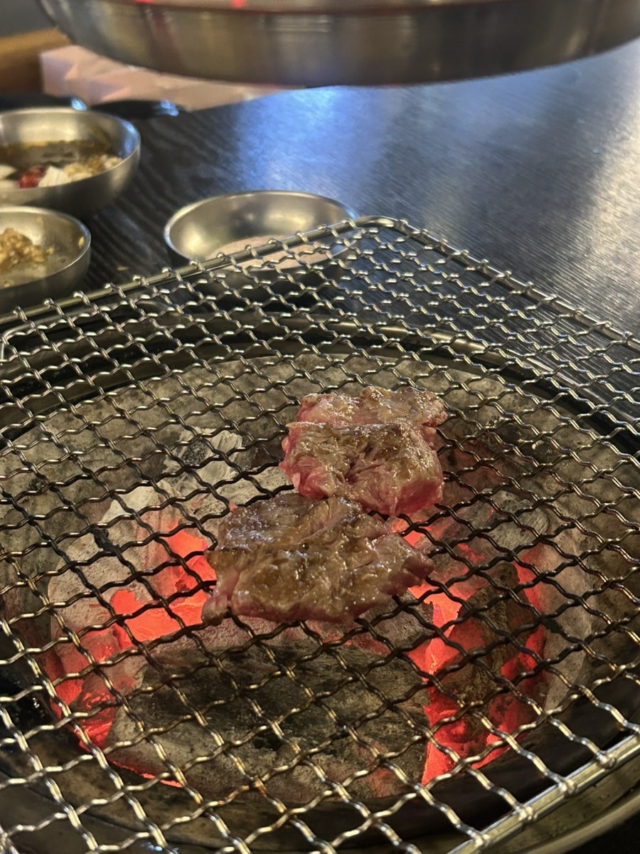 횃불 사진 5