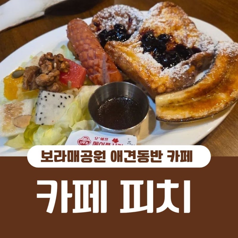 사진 5