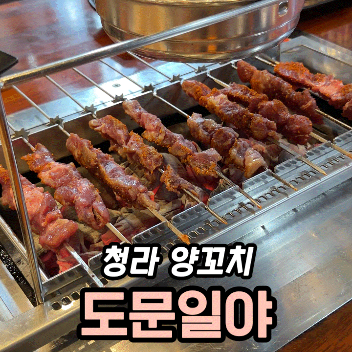  청라 양꼬치 맛집 도문일야 솔직 후기 | 모임·회식 장소로 딱인 이유