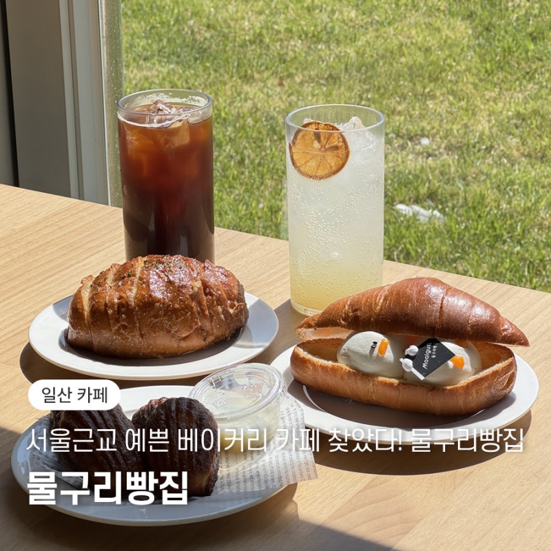 사진 6