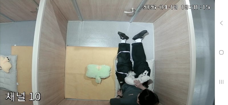 사진 3