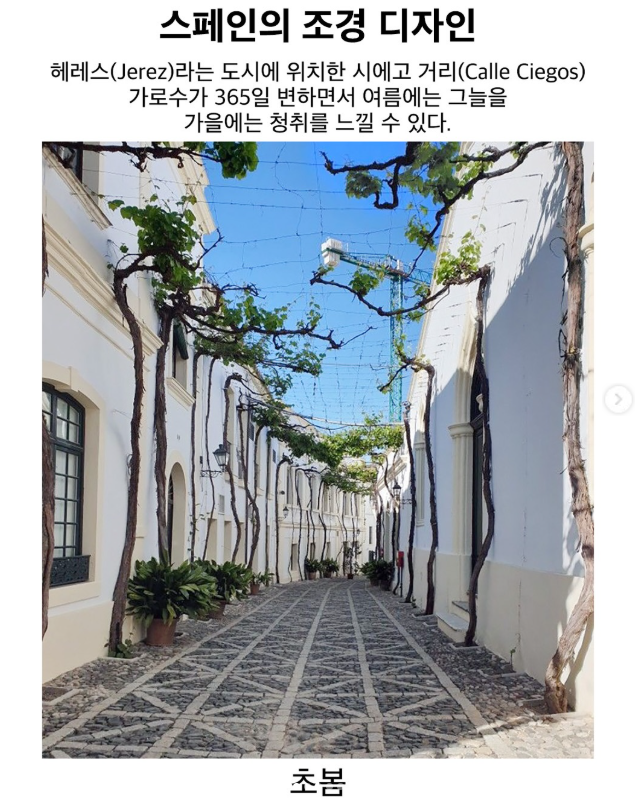  스페인의 조경 디자인