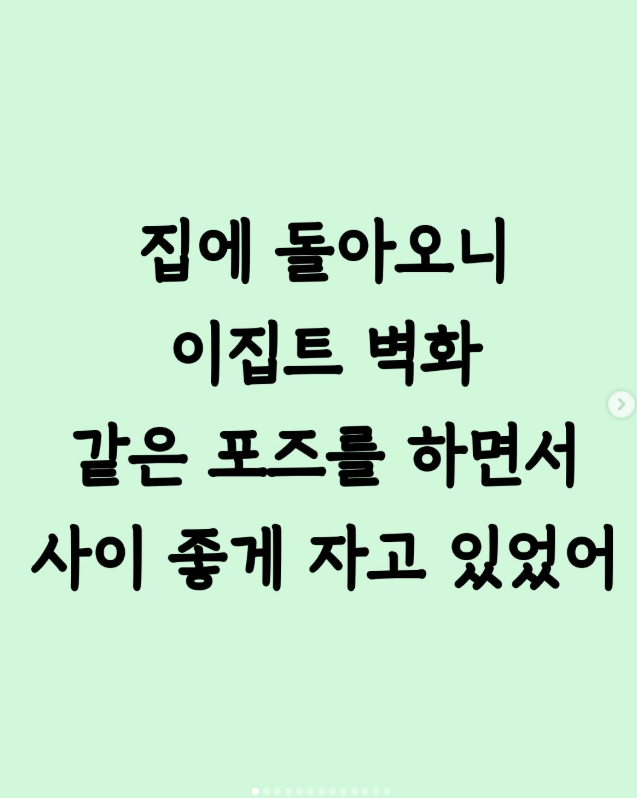  집에 돌아오니 이집트 벽화같은 포즈를 하면서 사이 좋게 자고 있었어