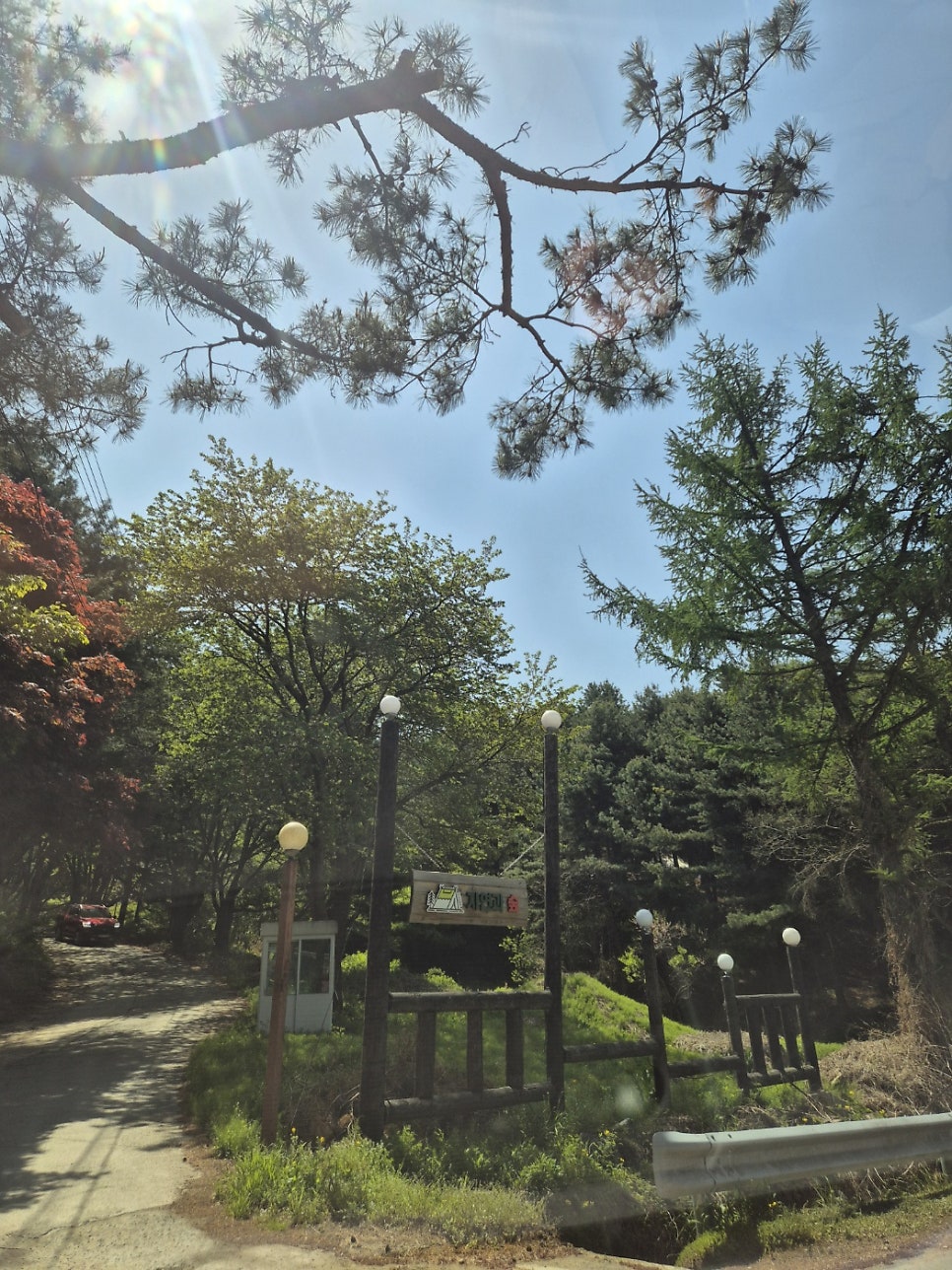 자연과숲 사진 2