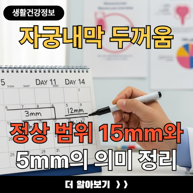 자궁내막 두꺼움 정상 범위 15mm와 5mm의 의미 완벽 정리