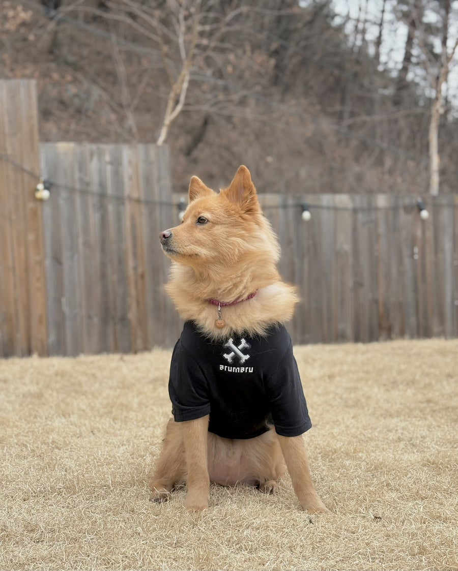 보리네민박 사진 5