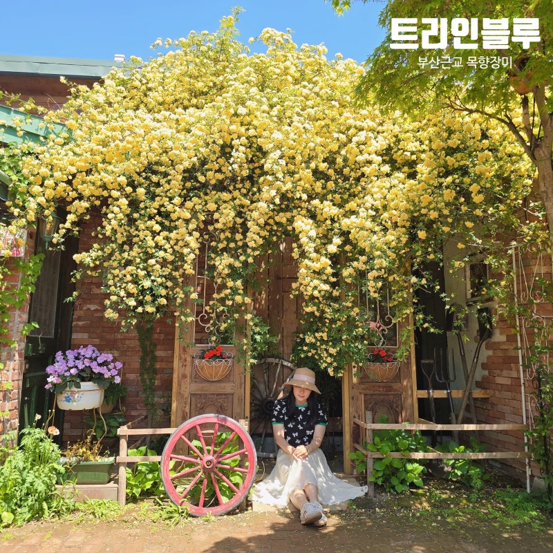 사진 2