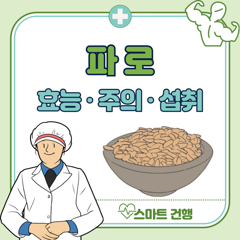 파로 효능, 부작용, 먹는법 : 파로쌀, 파로효소 효능