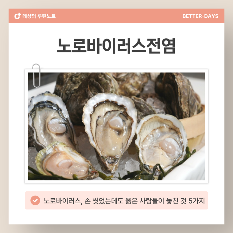 노로바이러스전염 '이 경로' 모르면 가족 전체 쓰러집니다 당장 체크하세요