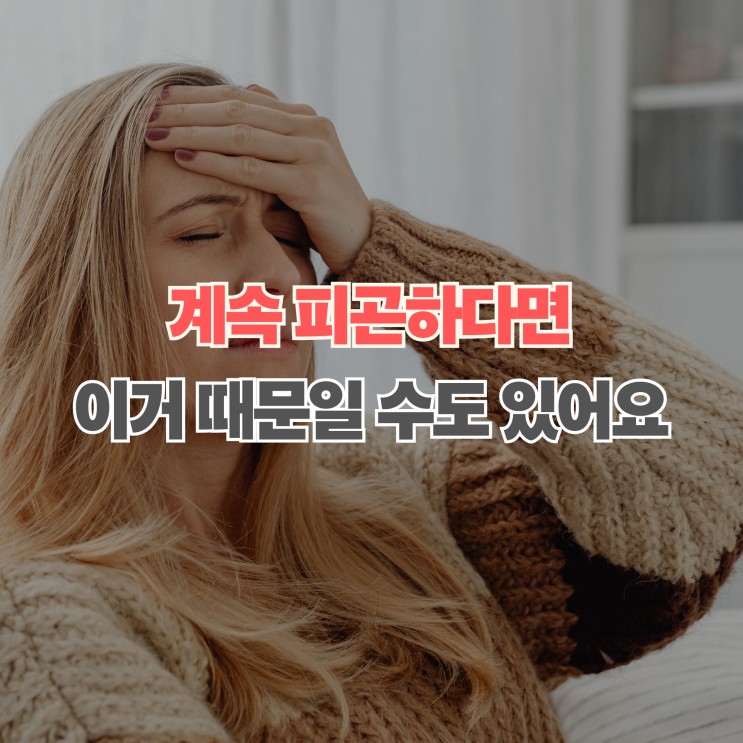  만성염증 원인과 증상, 몸이 보내는 신호 직접 느끼고 관리한 방법