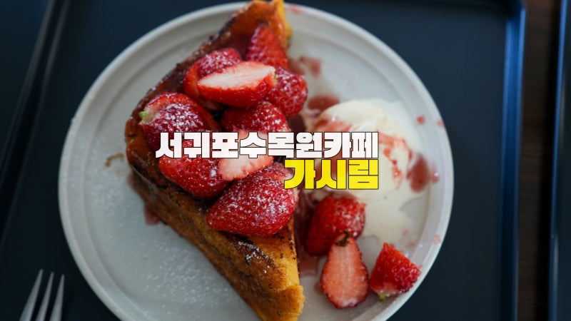 서귀포 가시림 카페 수목원 내돈내산 이용방법 및 후기