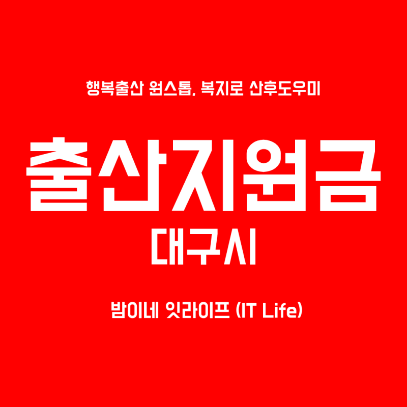 2026년 대구시 출산혜택 / 출산지원금 / 출산장려금 (정부출산지원금,지자체출산지원금)