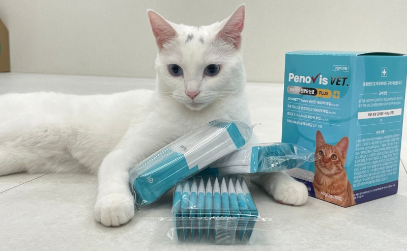 아기 고양이 유산균 신장과 장을 한번에 관리해주는 페노비스 멀티유산균