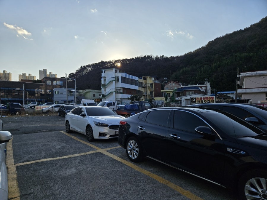 밀레니엄횟집 사진 2