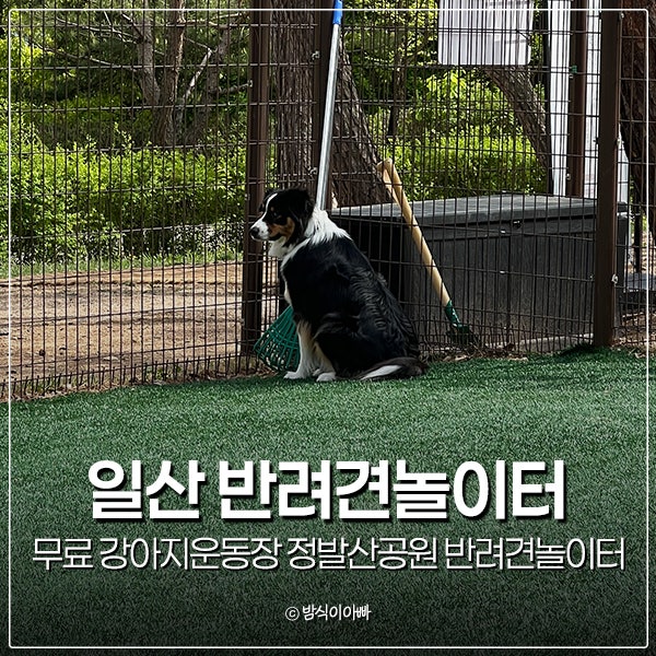 사진 6