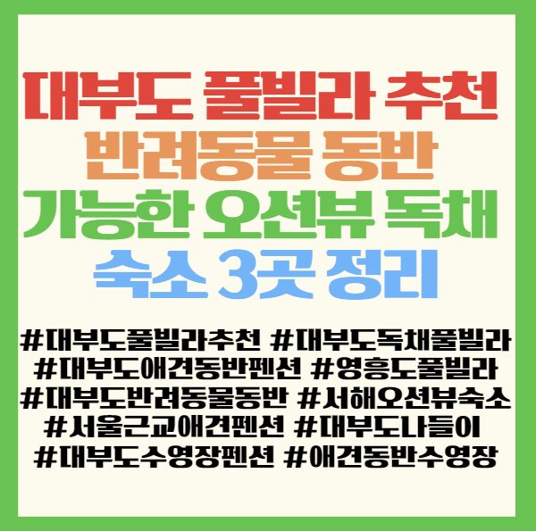 사진 5