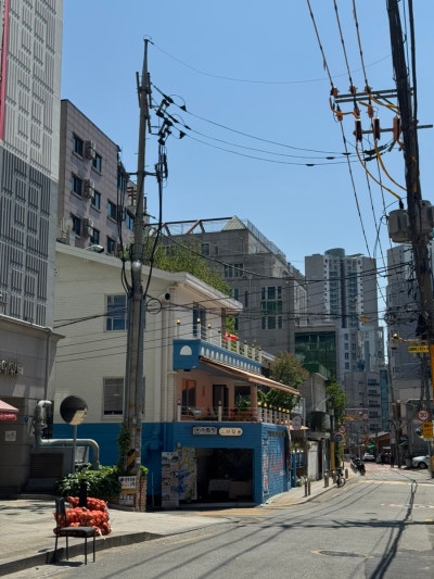 사진 4