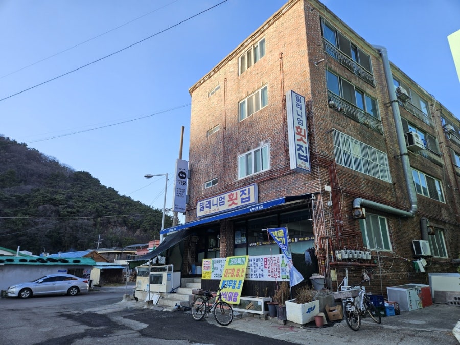 밀레니엄횟집 사진 1