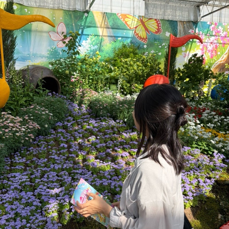 2026 함평 나비축제 주말에 다녀온 후기 (입장료 주차 황금박쥐 휠체어 등)