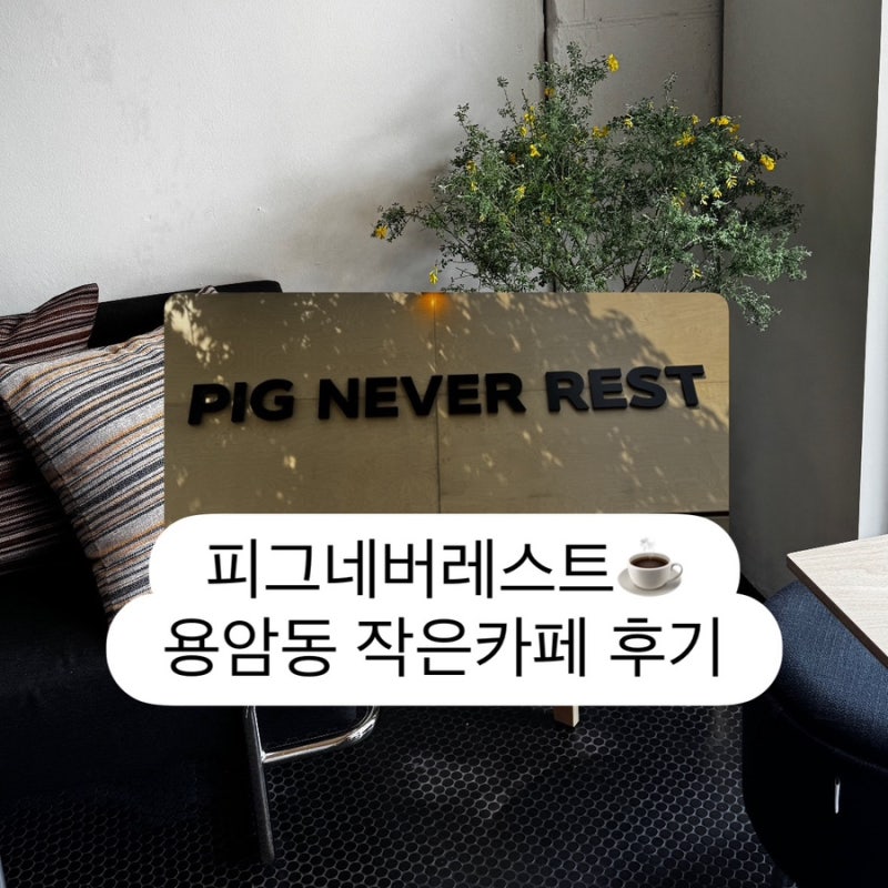 피그네버레스트