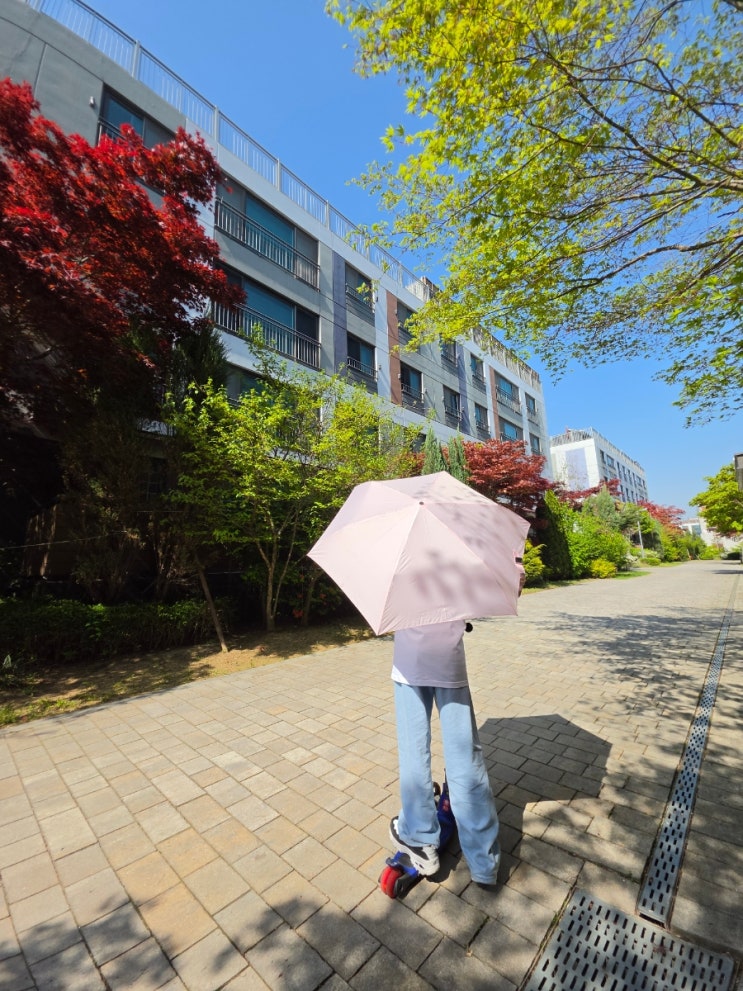  가방에 쏙! 119g 초경량으로 매일 들고 다니는 레인웍스 카본 3단 우산 추천