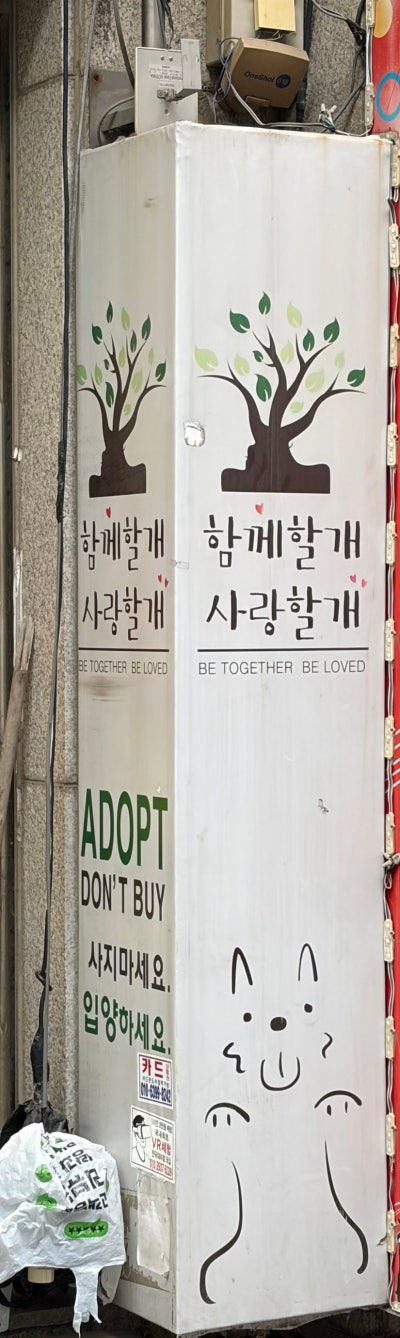 사진 3