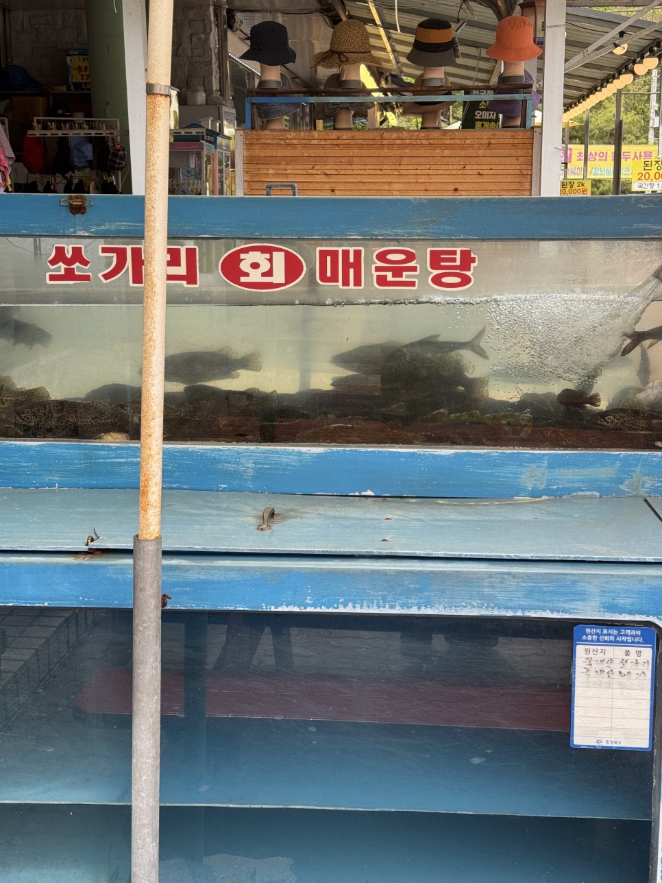 강변식당 사진 5