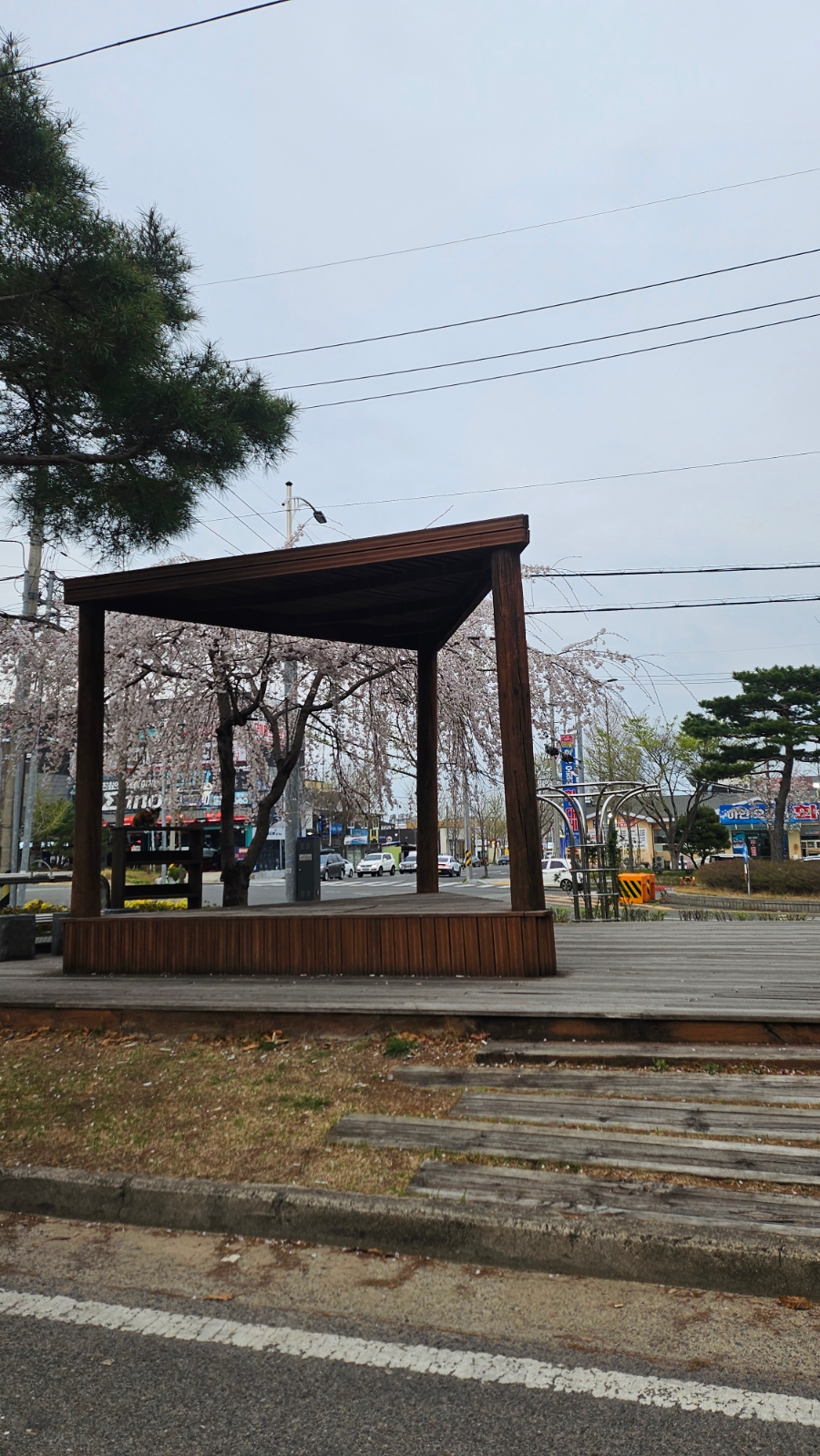 등촌샤브칼국수 포항북구점 사진 2