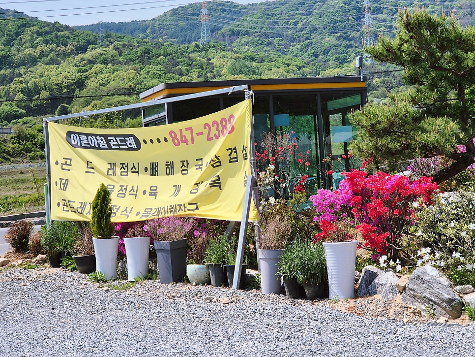 곤드레돌솥밥 사진 2