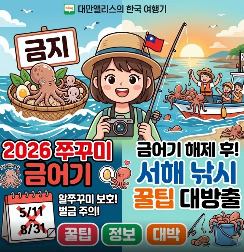 2026 쭈꾸미 금어기 총정리 | "모르고 잡으면 벌금 100만 원?"