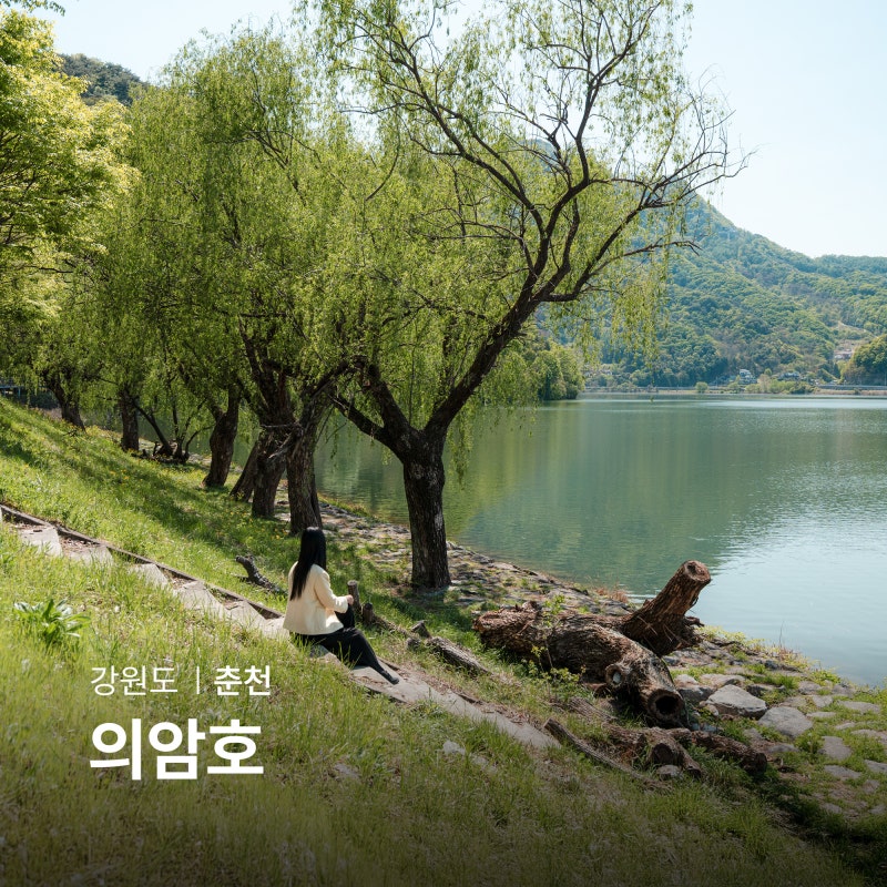 사진 4
