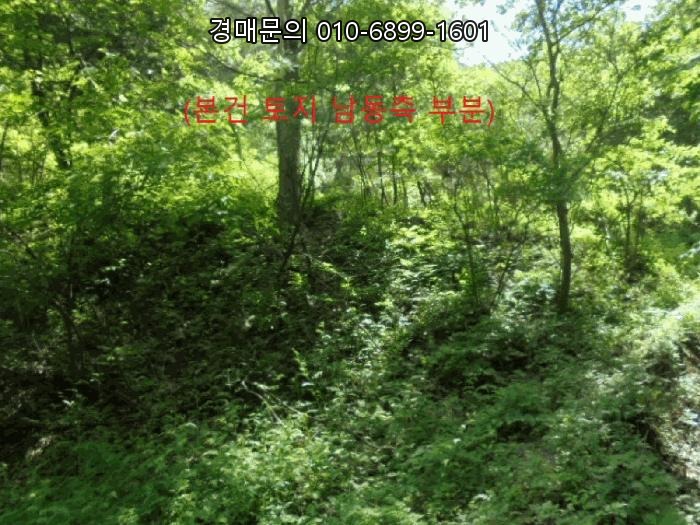  충북 제천시 금성면 공장 경매, 높은 수익을 기대하는 대장리 238-2 산업단지 인근 투자 기회 포착! 2025타경5314