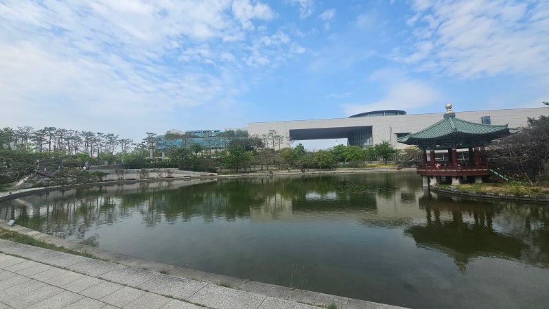 사진 5