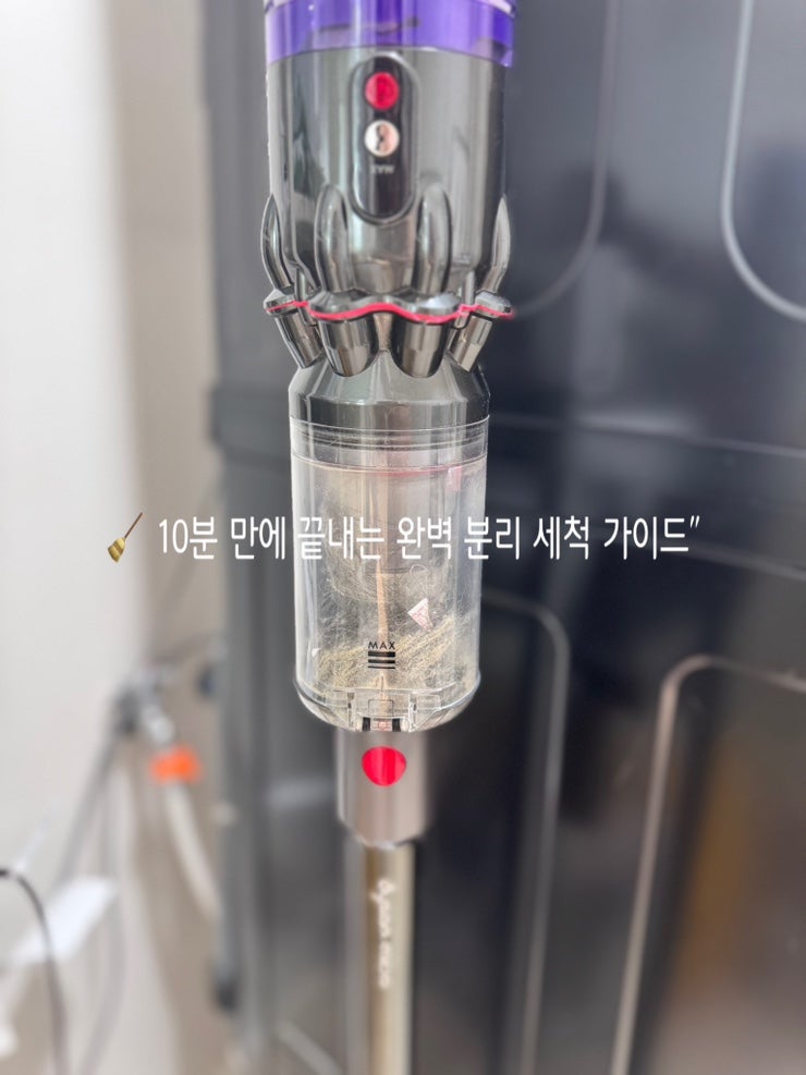 다이슨청소기 필터 물세척 청소기관리법 청소기세척 먼지통비우기