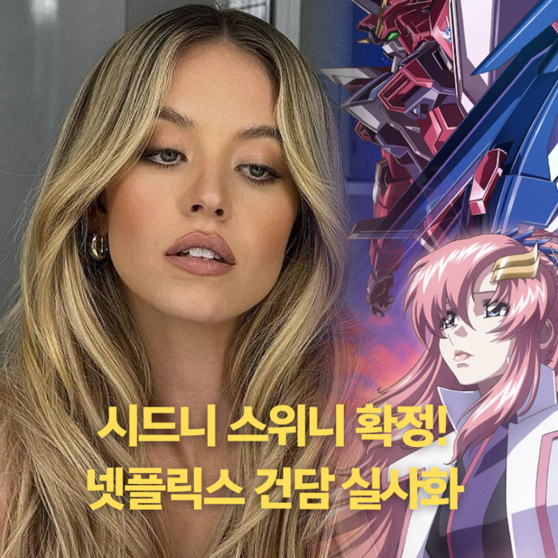 사진 7