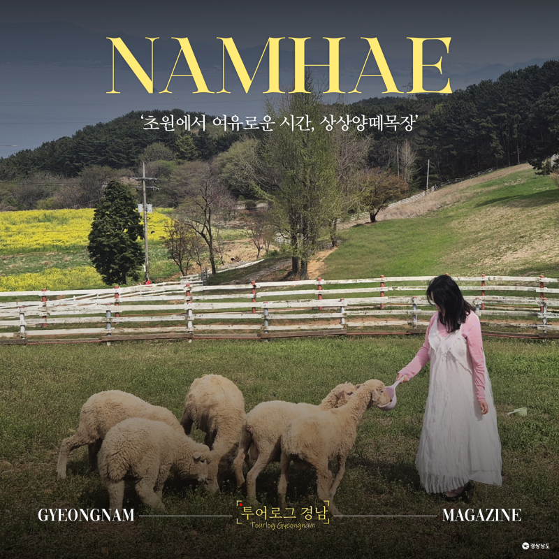 [경남/남해]상상양떼목장, 푸른 바다와 들판 풍경 그리고 반값여행