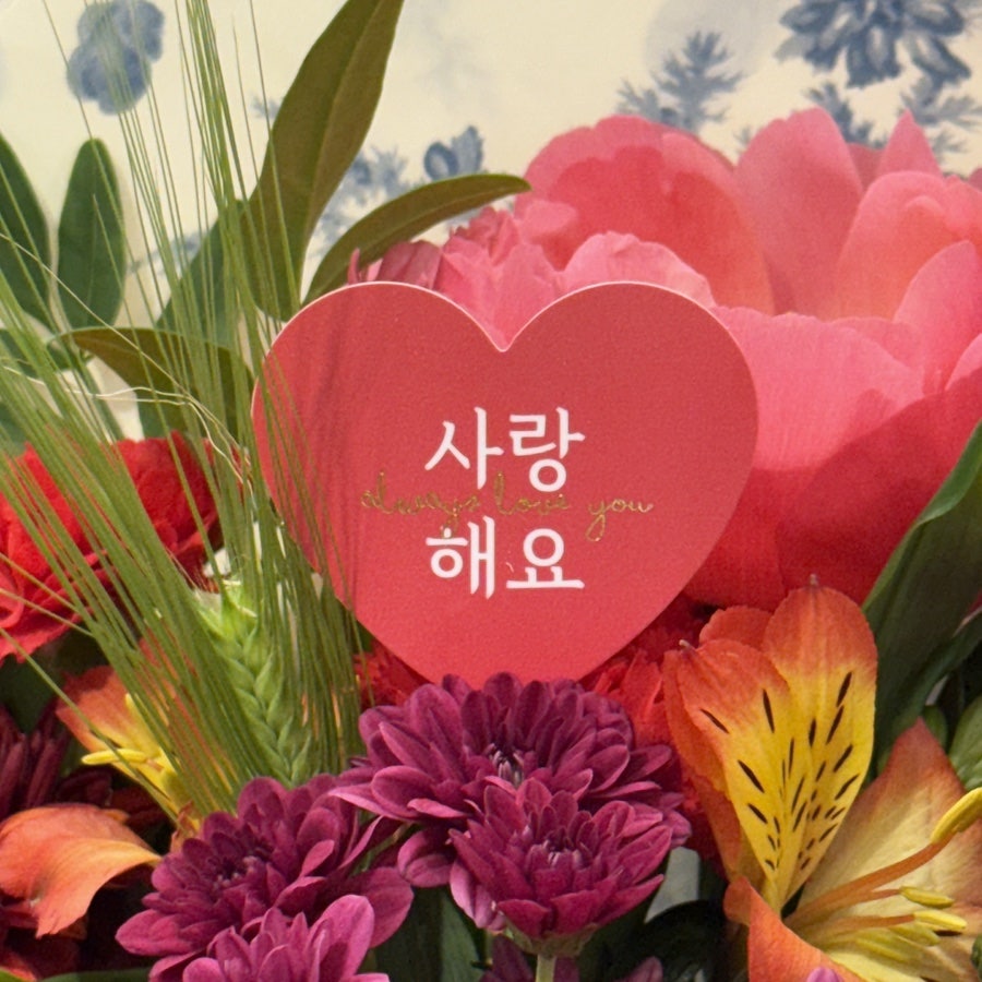 헤세드 사진 3