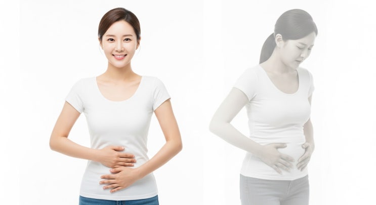  파비플로라 효능 부작용 섭취방법 총정리 (일반 유산균과 차이까지)