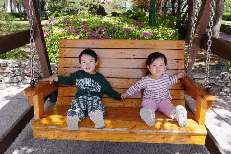  리코 GR4 내돈내산 찐 후기, 스마트폰 놔두고 똑딱이로 쌍둥이 찍는 이유