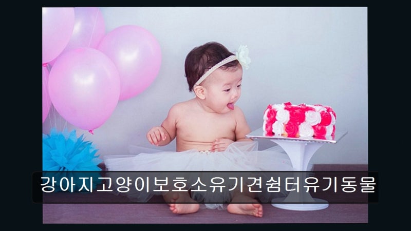 사진 8
