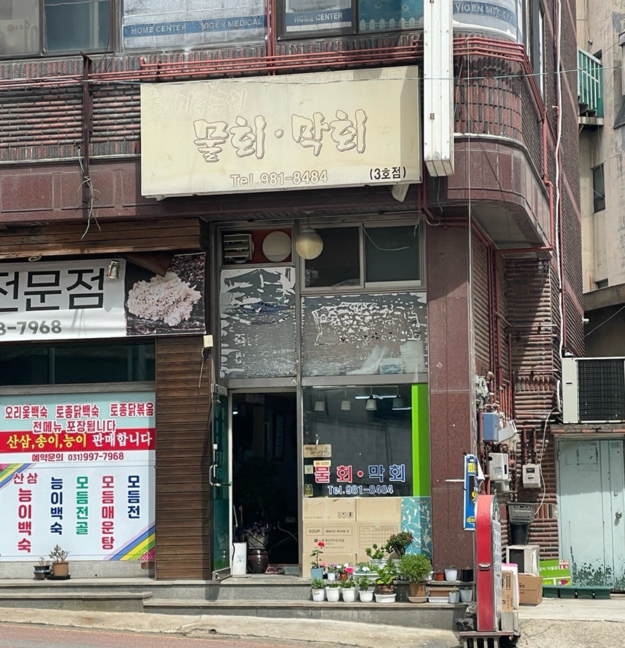 죽변물회막회 사진 1