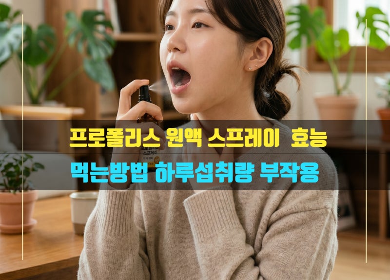 프로폴리스 효능5가지 스프레이 원액 효능 먹는방법 하루섭취량 부작용 완벽정리