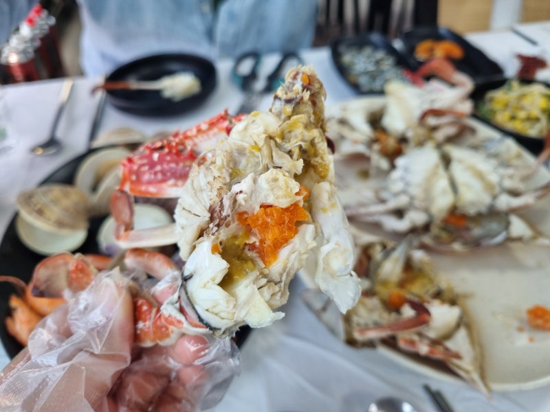 충남 보령 여행 가볼만한곳 대천항 수산시장 제철 봄 꽃게찜 맛집 ft. 우성수산, 한내회타운