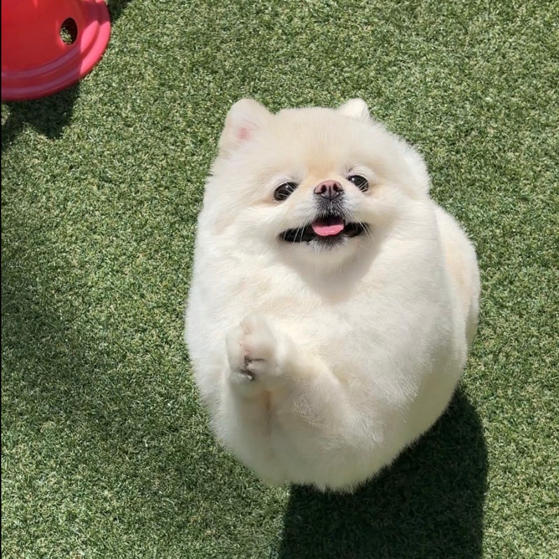 사진 5