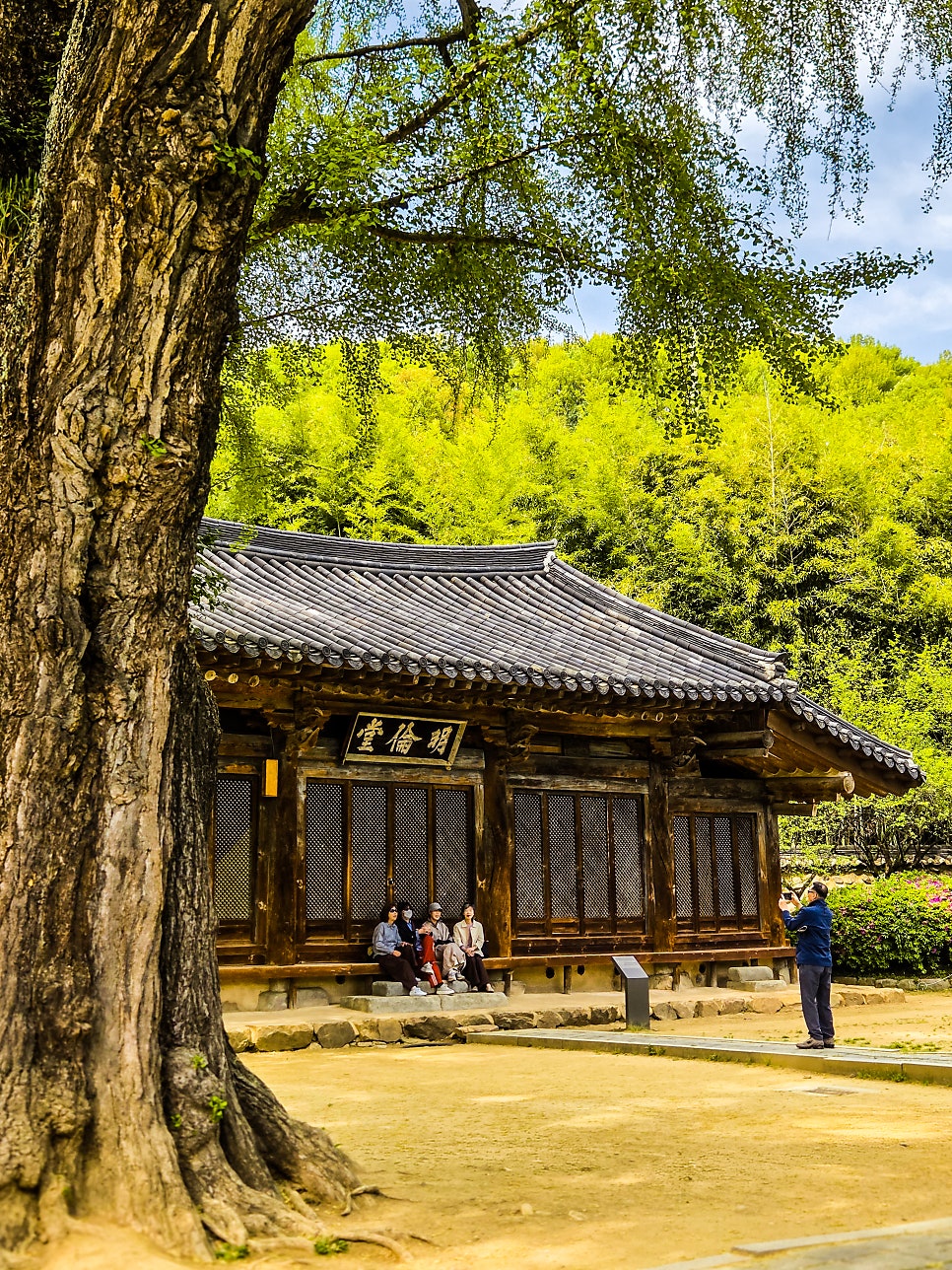 스시선 사진 1